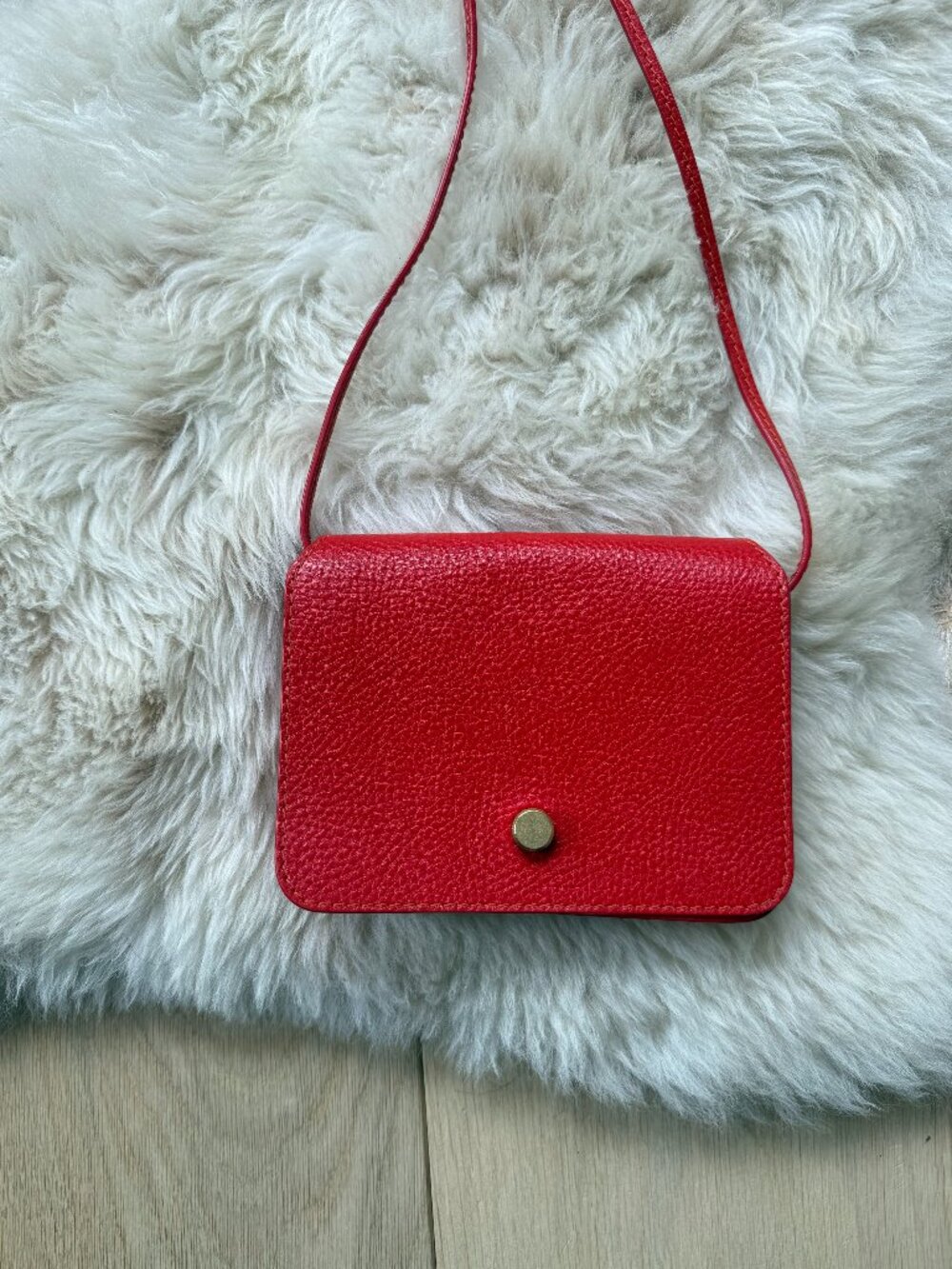 Lindquist Object Ray in Persimmon